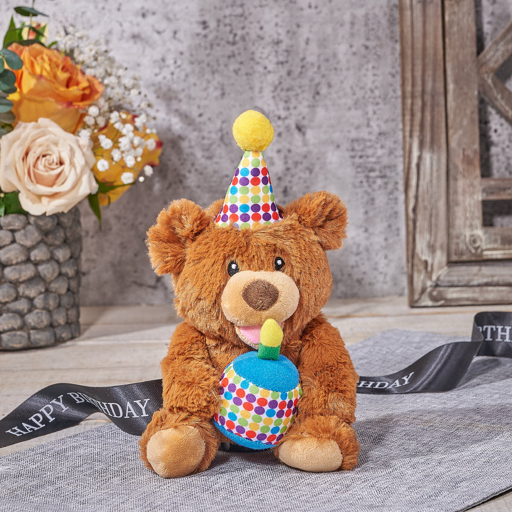Happy Birthday Bear Plush, plush gift, plush, teddy bear gift, teddy bear, birthday gift, birthday.