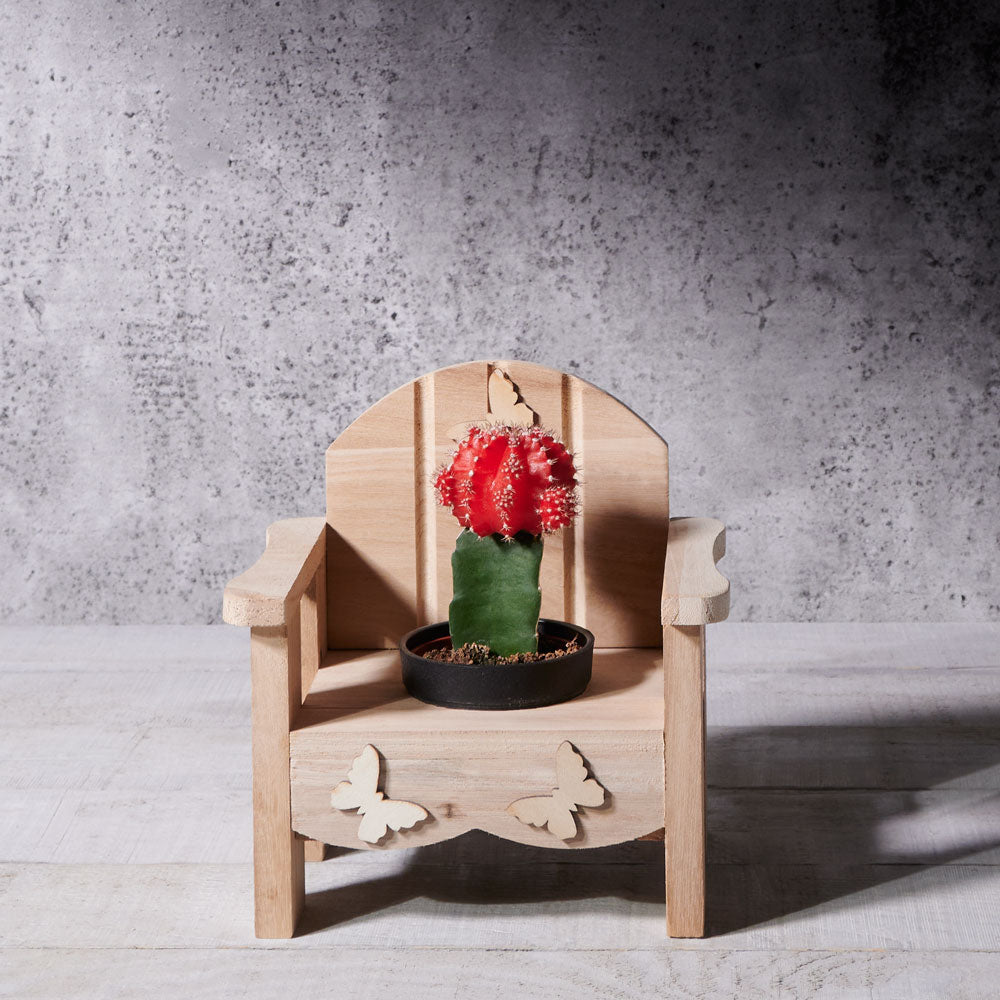 Cactus Makes Perfect, potted plant gift baskets, potted plant gifts, gifts, cactus, succulent