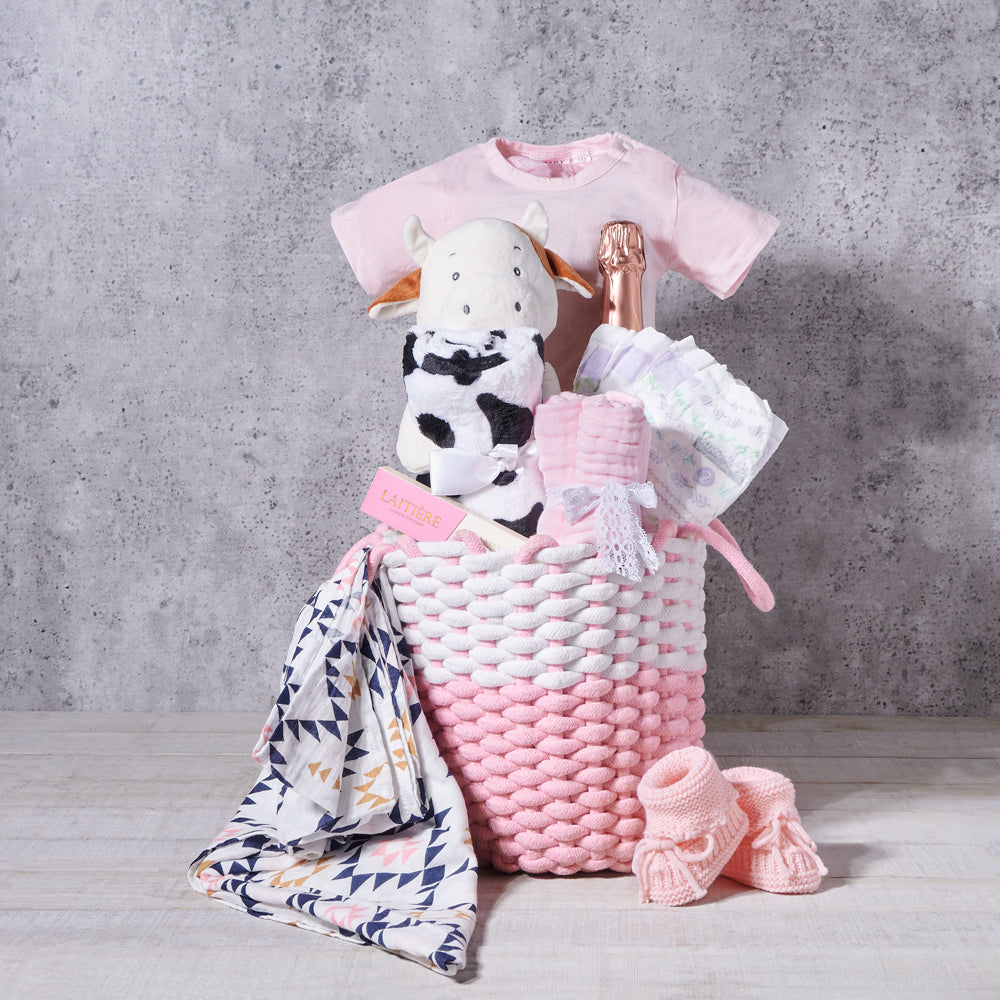 Newborn Baby Girl Gift Basket, baby gift, baby, baby girl gift, baby girl, baby shower gift, baby shower, champagne gift, champagne, sparkling wine gift, sparkling wine