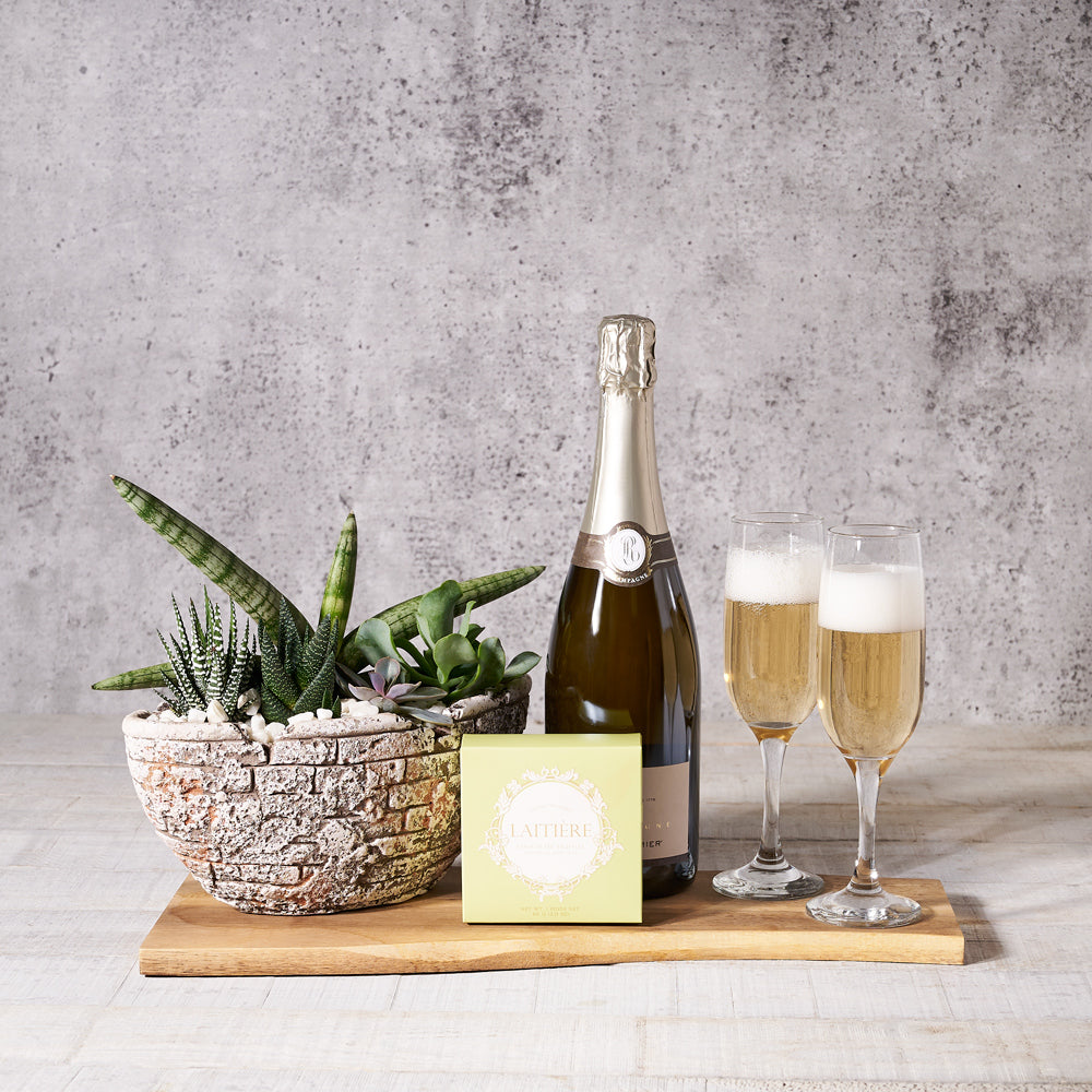 Green & Gold Champagne Gift Basket, Champagne Gift Baskets, Succulent Gift Baskets, Succulents, Champagne, Chocolate Truffles