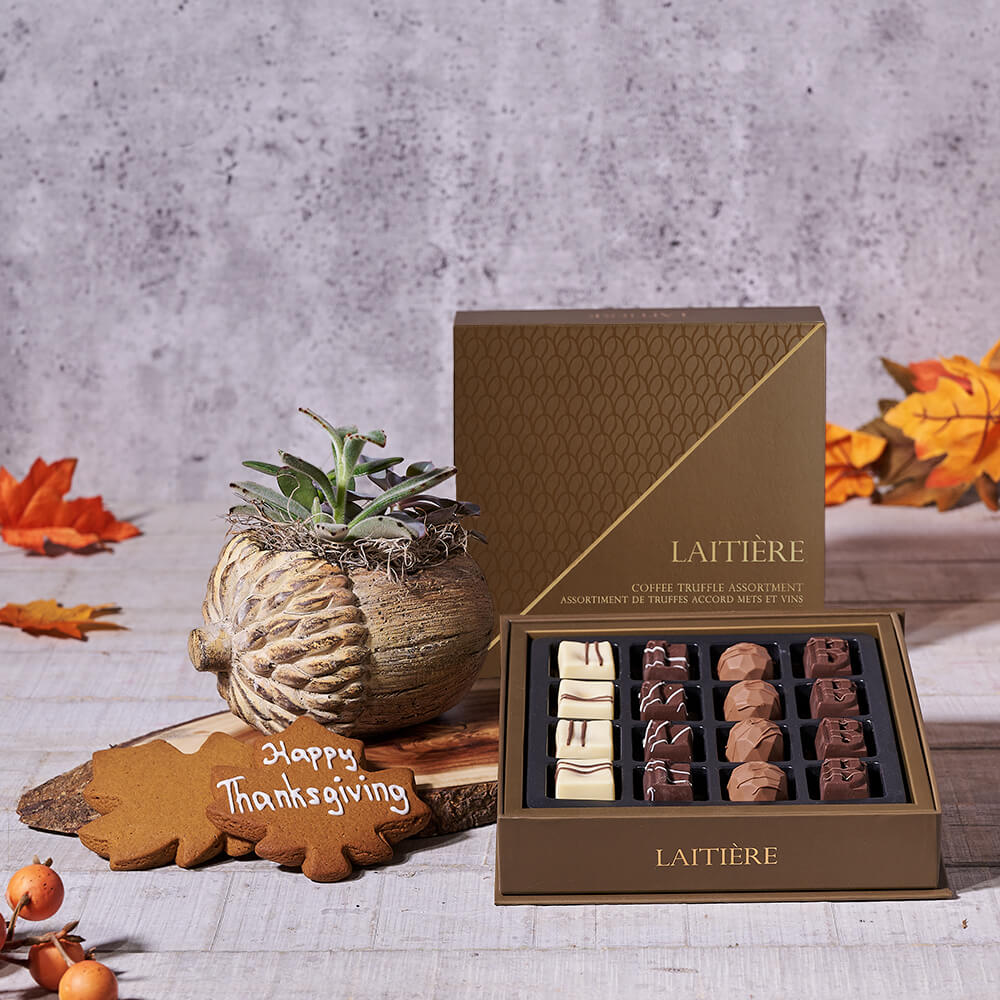 Succulent Plant and Cookies Thanksgiving Gift – how the gift is presented