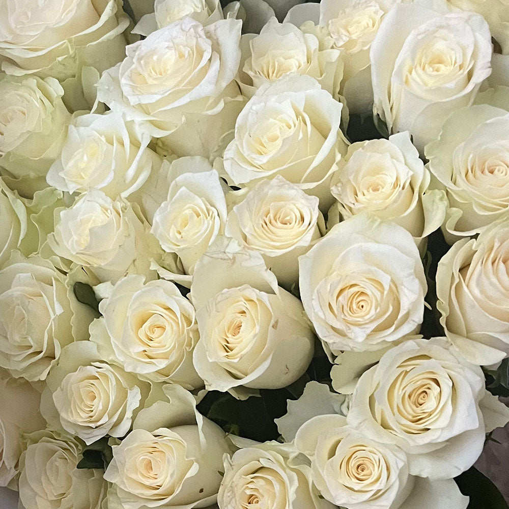 Classic Tibet Roses in White Bouquet – how the gift is presented
