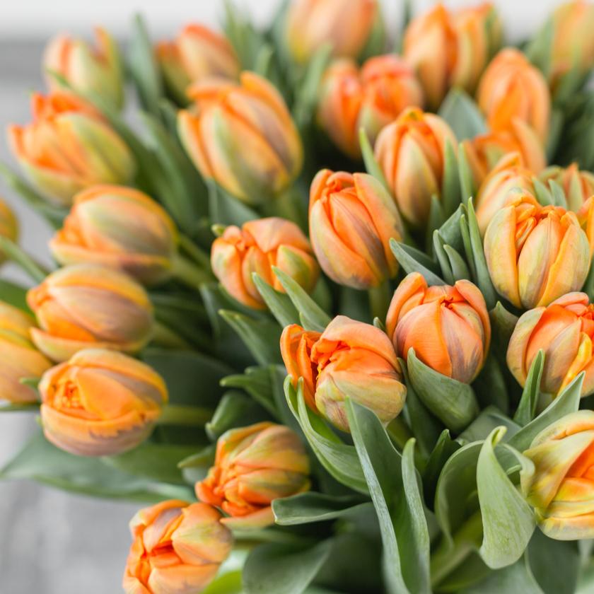 Seasonal Flower - Weekly Flower Subscription